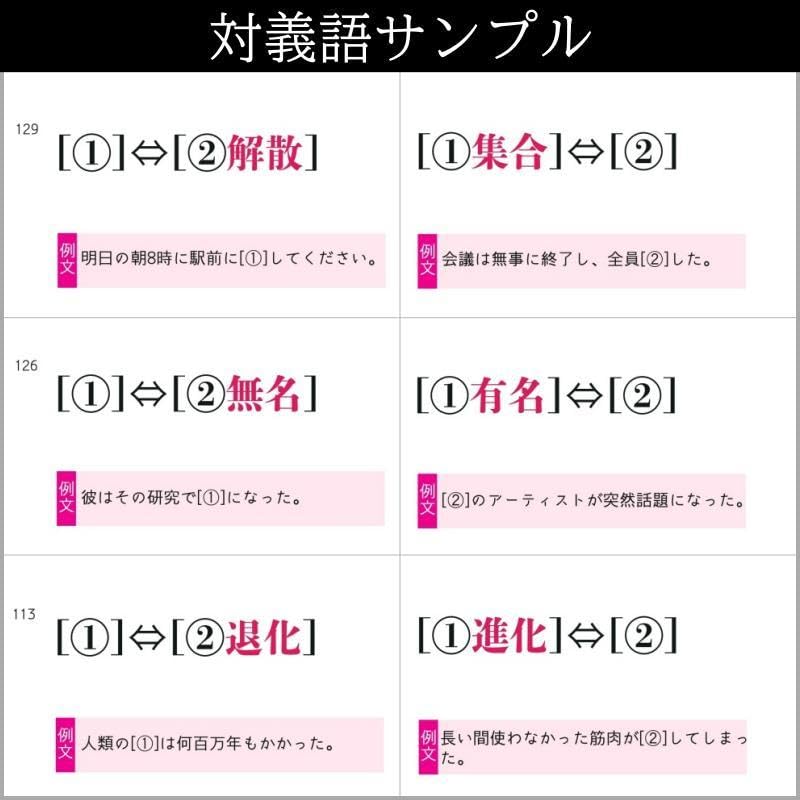 中学受験国語の重要語句暗記カードセット　サピックス　言葉ナビ上下対応　中学入試 069】中学受験国語の重要語句セット サピックス 言葉ナビ上下